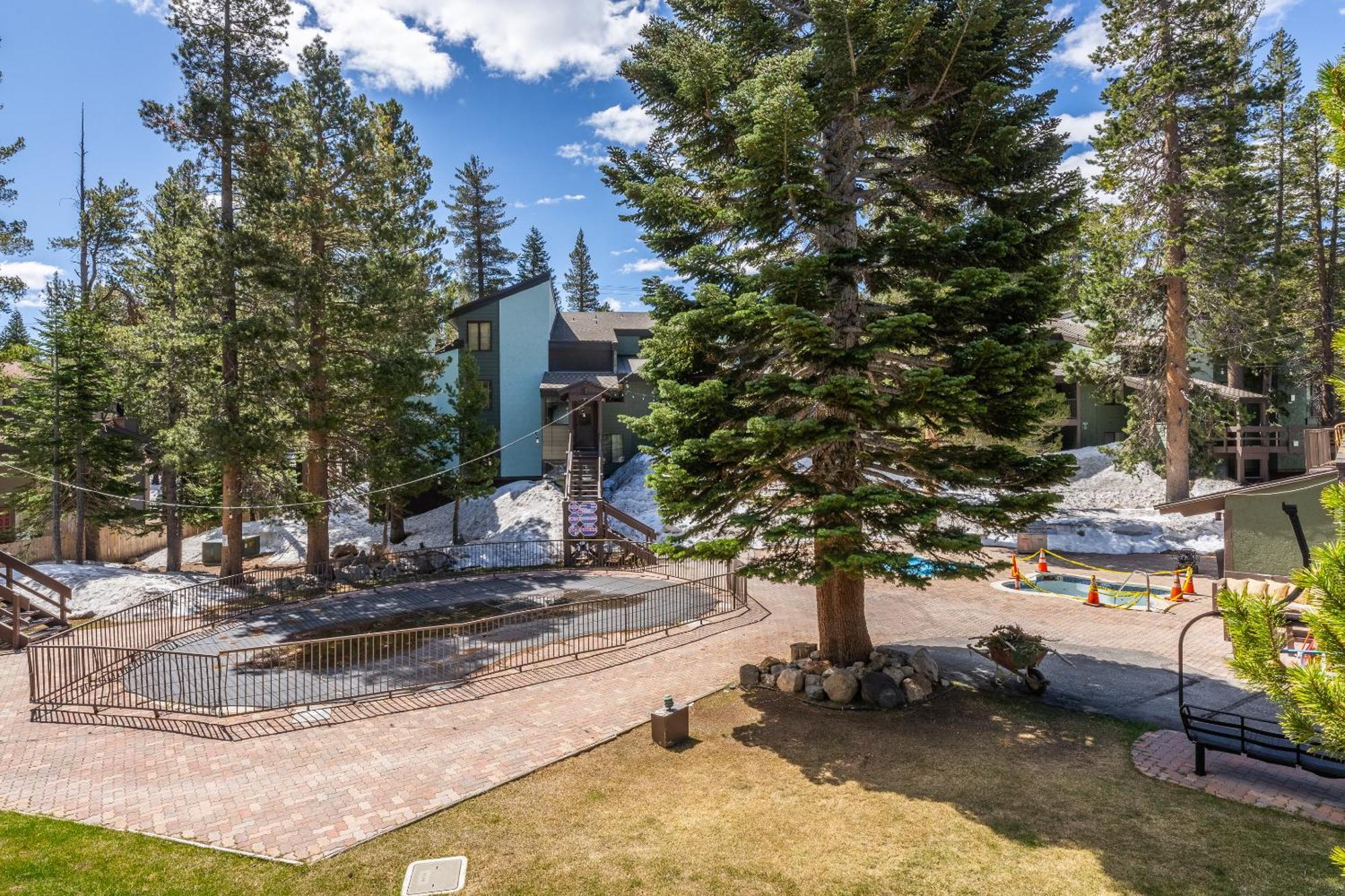 Fully Renovated! St Anton #17 Ski In Ski Out 1 Bedroom 1 Bathroom Condo! Sleeps Up To 4! Mammoth Lakes Eksteriør bilde